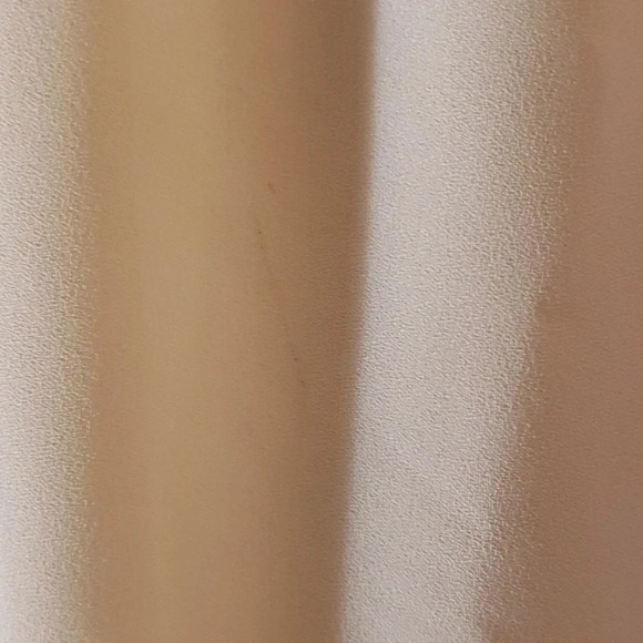 (Final price) Forever 21 light pink sheer top - Picture 5 of 6